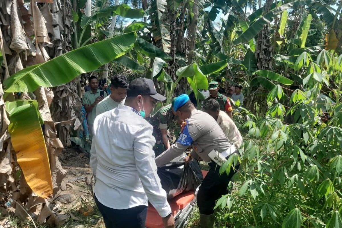 Mayat Korban Banjir Aceh Utara Ditemukan di Kebun Warga Setelah Hilang Sepekan
