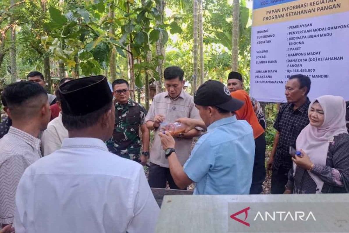BUMG Aceh Selatan Gali Potensi Madu Trigona untuk Ekonomi Warga
