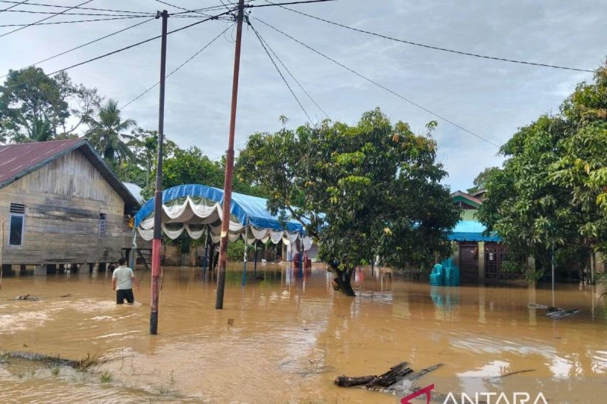 Banjir 30 cm Terendam Empat Desa di Aceh Barat, Warga Tetap Bertahan