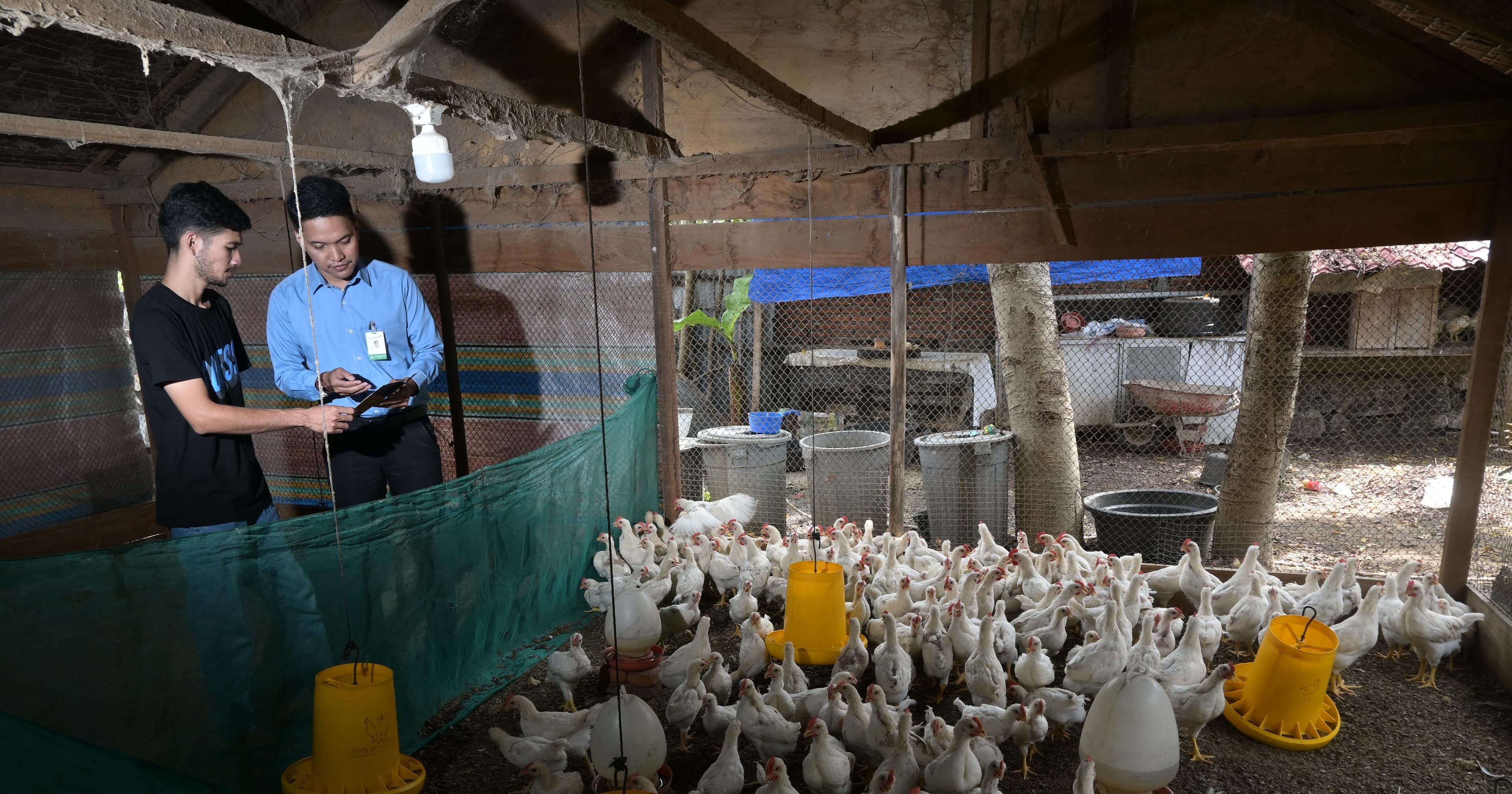 Bank Aceh Syariah Salurkan KUR Rp1,5 Triliun untuk UMKM 2026