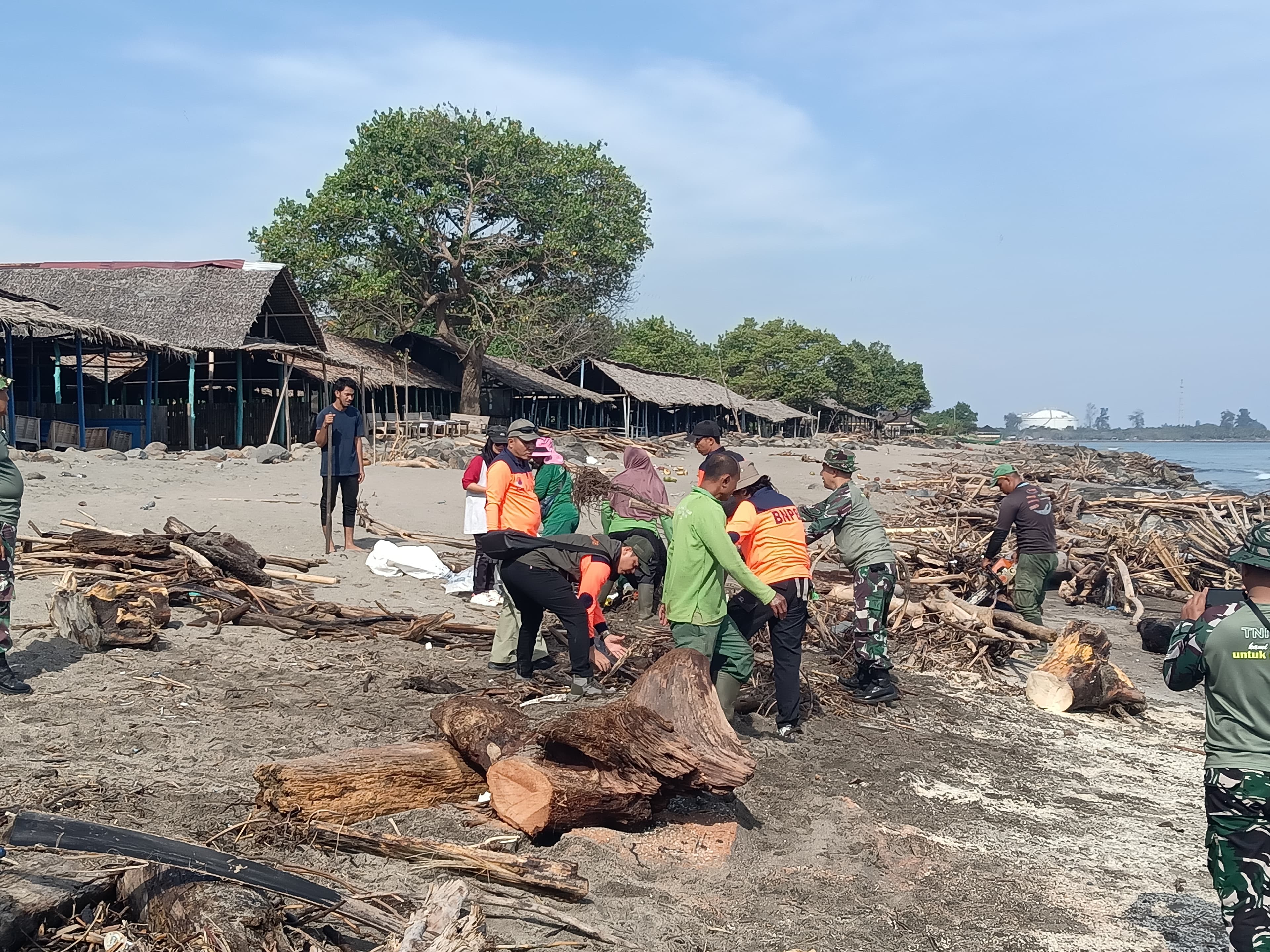 Limbah Kayu 5 Ton Dibersihkan dari Pantai Ujong Blang, Aceh Utara