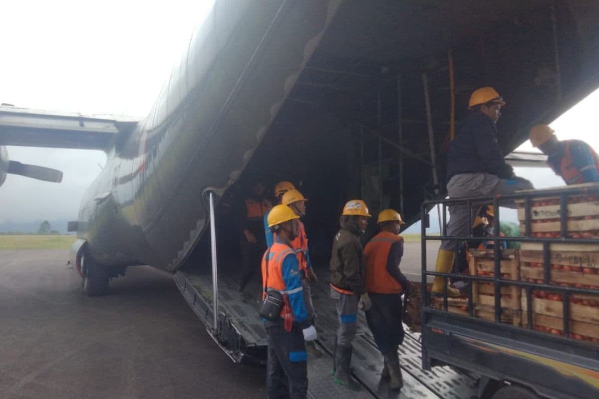 Dinas Pangan fasilitasi angkutan sayur-mayur daerah bencana lewat udara