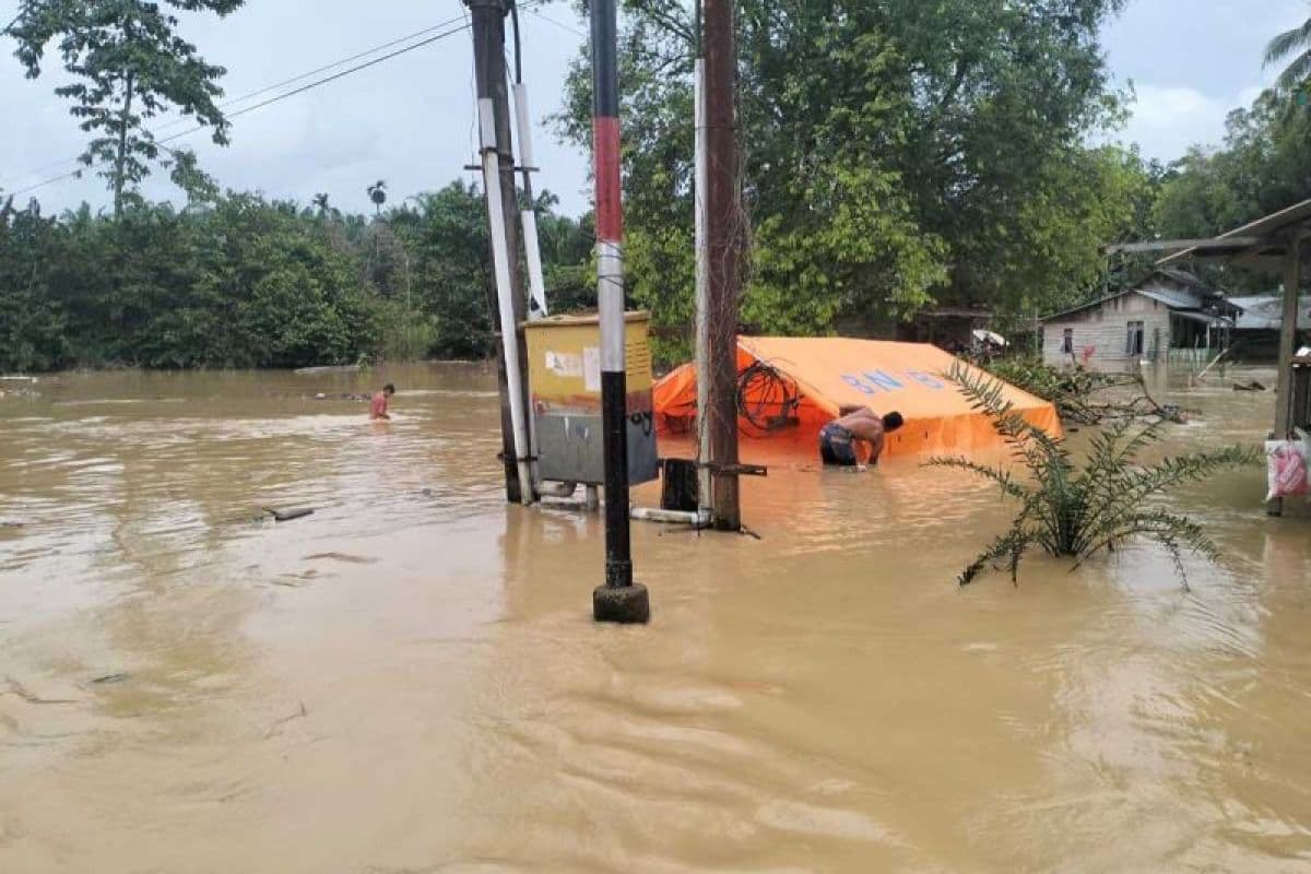 Banjir Susulan Rendam Lima Kecamatan di Aceh Timur, Aktivitas Warga Lumpuh