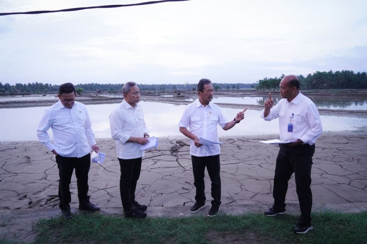 30 Ribu Hektar Tambak Aceh Rusak Akibat Banjir, Ribuan Pembudidaya Terkena Dampak