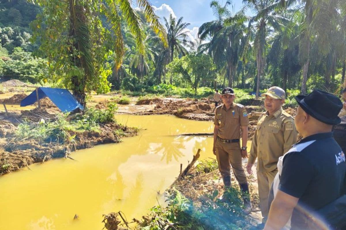 Tambang Emas Ilegal di Aceh Jaya Rusak Hutan, Bupati Akan Tertibkan
