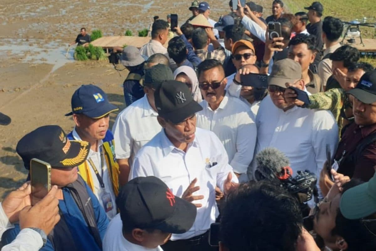 11.929 hektare sawah Aceh Utara usul revitalisasi pasca banjir