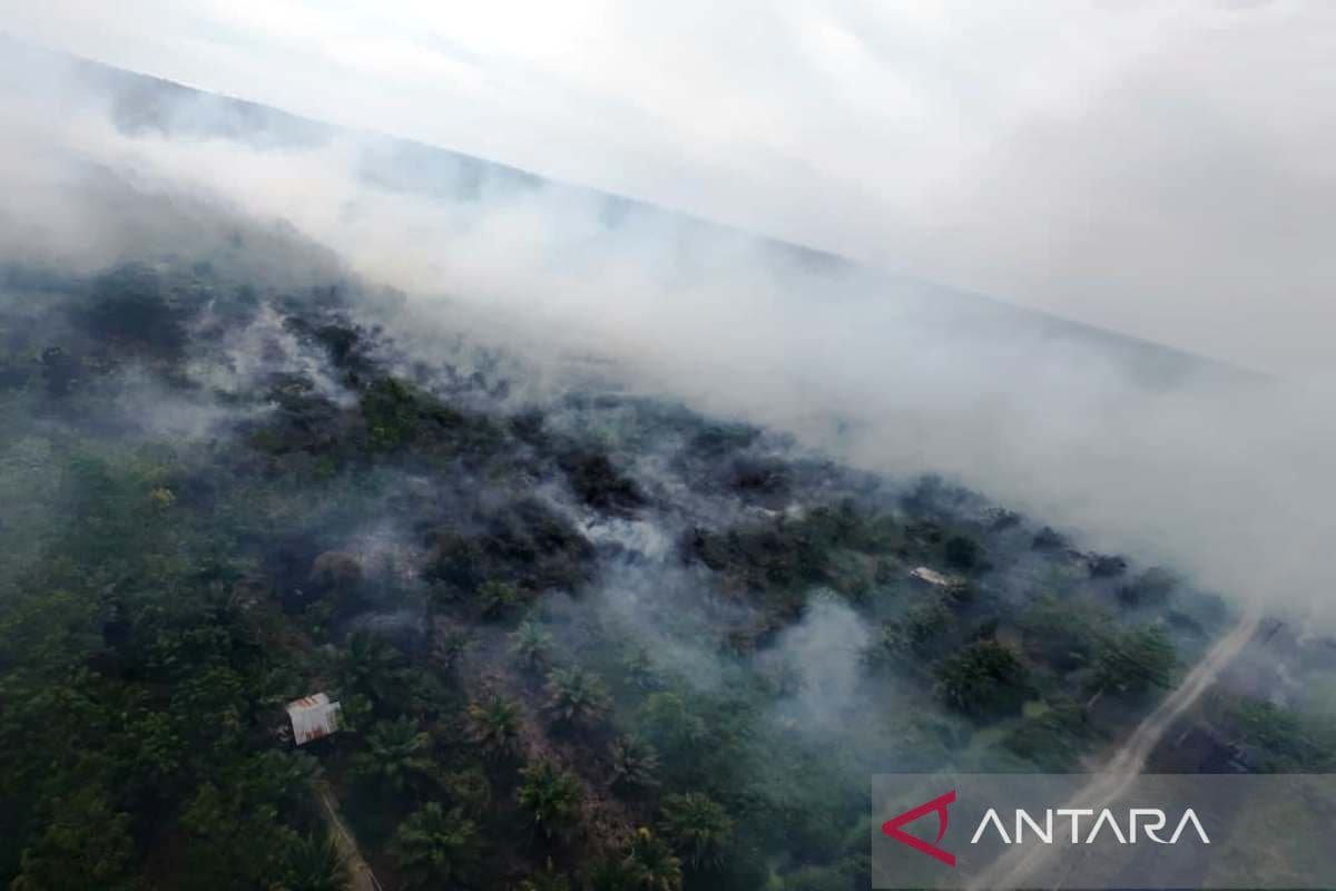 Kebakaran Lahan di Aceh Barat Ganggu Pernapasan Warga dan Rusak Vegetasi