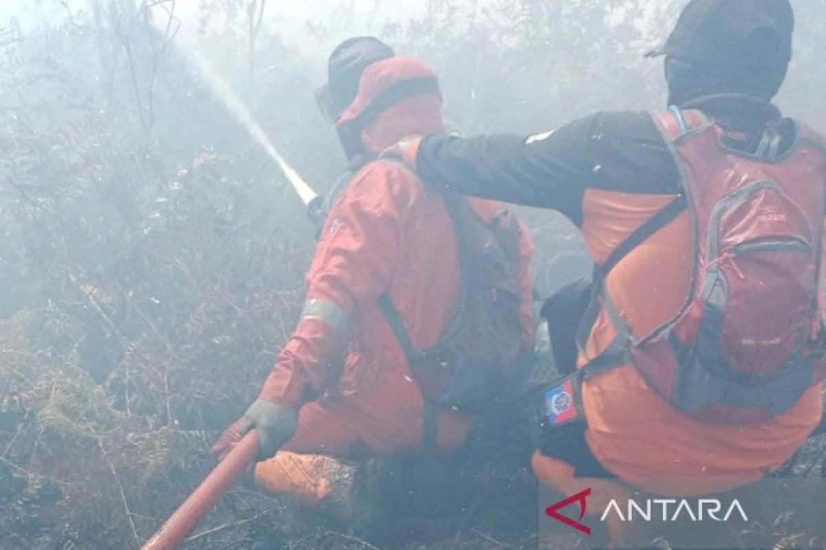 BPBD Aceh Barat sekat jalur api cegah kebakaran lahan meluas
