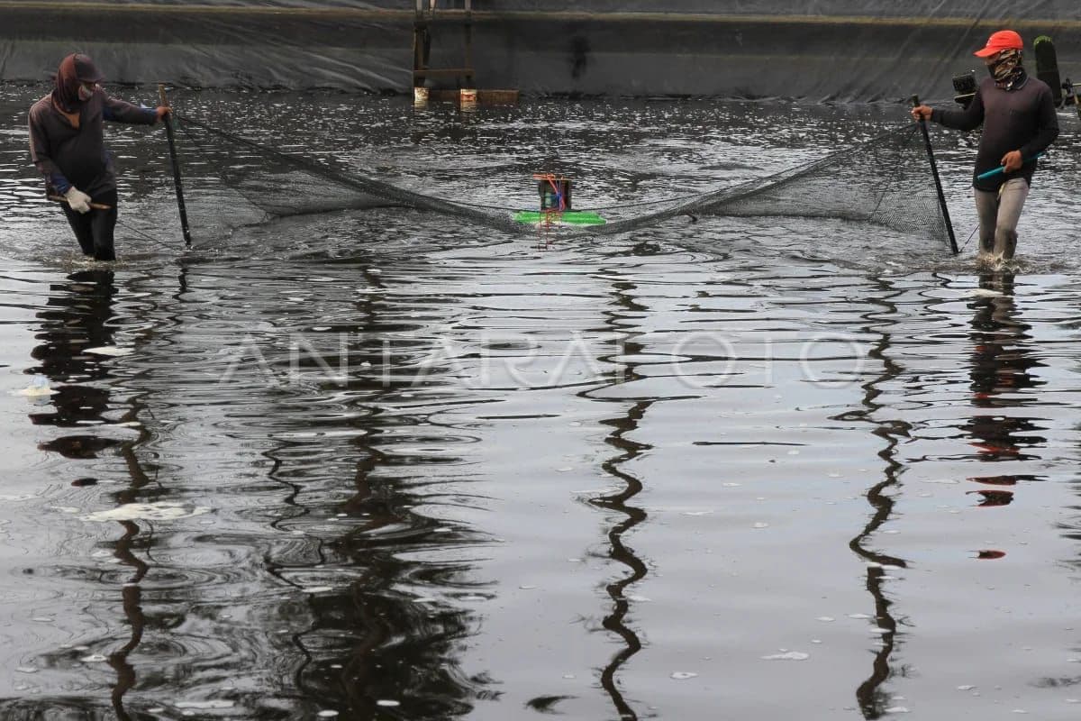 Warga Aceh Besar Khawatirkan Kenaikan Harga Pangan Pasca Banjir