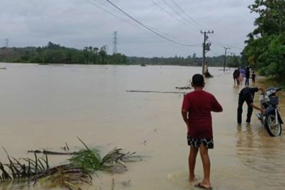Warga Aceh Besar Khawatirkan Dampak Banjir pada Sawah dan UMKM