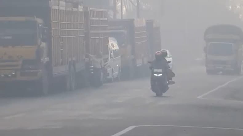 Kebakaran Gambut Aceh Barat Selimuti Jalan Lintas Provinsi, BPBD Berjibaku Padamkan Api