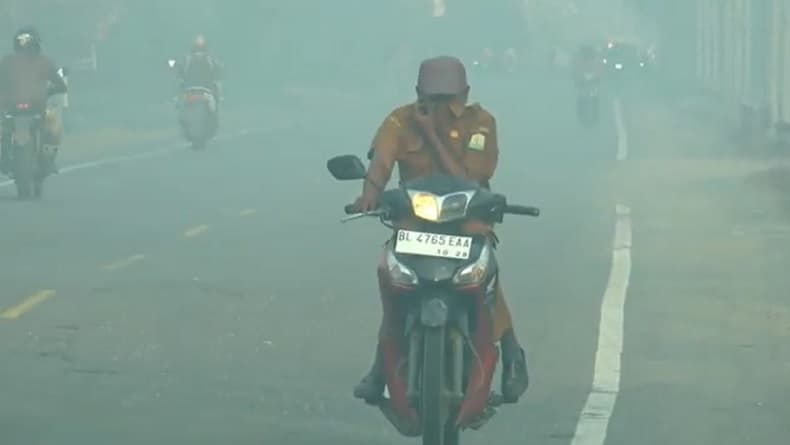 Kabut Asap Tebal di Aceh Barat, Sekolah Diliburkan dan Transportasi Terganggu