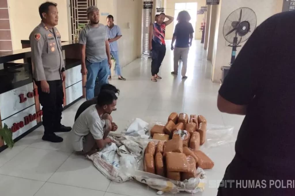 Polisi Aceh Tenggara Tangkap Penyelundup Ganja 50 Kg di Tengah Pemulihan Pascabencana