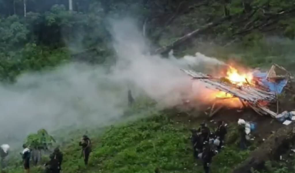 168 Ton Ganja Senilai Rp1,27 Triliun Dimusnahkan di Gayo Lues