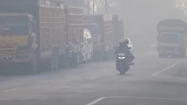 Kebakaran Gambut Aceh Barat Selimuti Jalan Lintas Provinsi, BPBD Berjibaku Padamkan Api