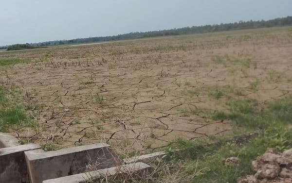 37 Hektare Sawah di Beutong Ateuh Rusak, Warga Harap Bantuan Pemerintah