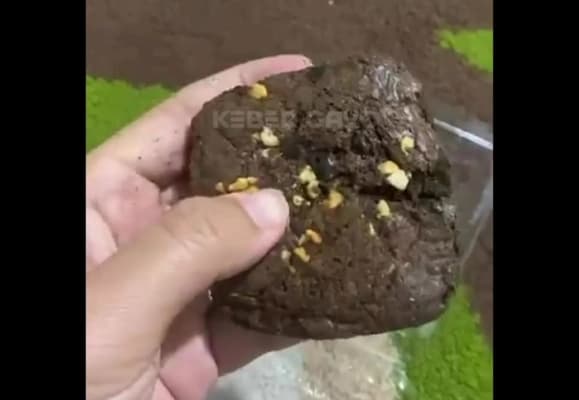 Wali Murid Aceh Tengah Protes Roti MBG Keras Seperti Batu di SD Negeri 17 Takengon