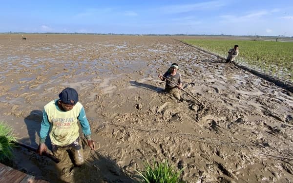 Banjir Sumatra Picu Kerugian Ekonomi Nasional, Aceh Tamiang Jadi Fokus Pemulihan