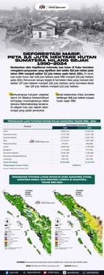 8,6 Juta Hektare Hutan Sumatera Hilang, Aceh Terancam Dampak Lingkungan