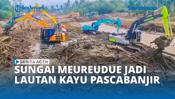 Sungai Meureudu Pidie Jaya Banjir Kayu Gelondongan, Warga Bersihkan Lumpur