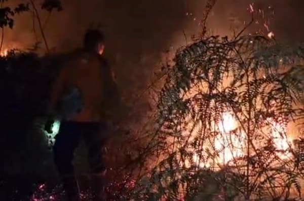 Karhutla di Aceh Barat Melanda 5 Hektare Lahan, BPBD Lakukan Pemadaman Manual