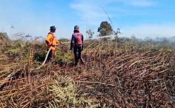 Kebakaran Lahan di Aceh Barat Meluas, BPBD Sulit Mobilisasi Alat