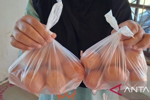 150 Ribu Butir Telur Bantuan untuk Korban Banjir Aceh Tamiang