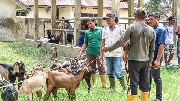 Pasar Hewan Aceh Tamiang Kembali Beroperasi Pasca Banjir, Ekonomi Warga Mulai Bangkit