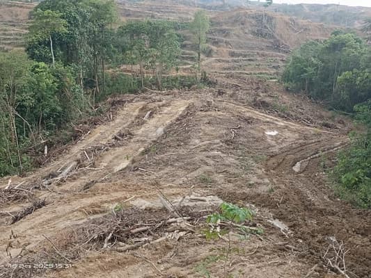 Warga Nagan Raya Desak Penyelesaian Sengketa Lahan dengan PT KIM