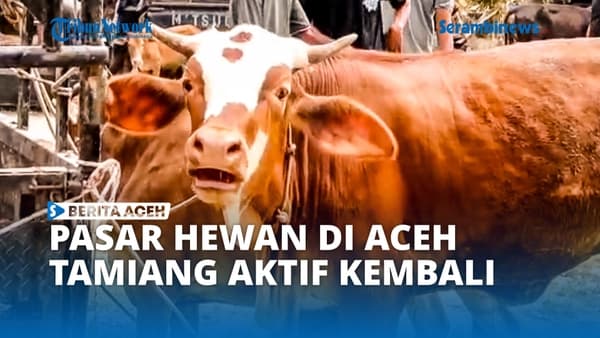 Pasar Hewan Aceh Tamiang Kembali Beroperasi Pasca Banjir, Warga Berharap Pemulihan Ekonomi