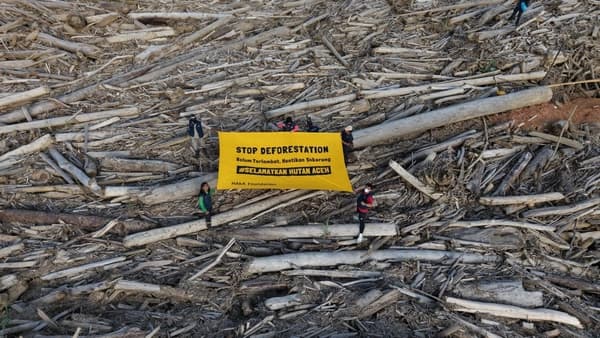Banjir Aceh Berulang, Deforestasi Didesak Berhenti untuk Selamatkan Masa Depan