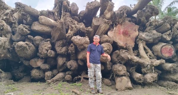 Desakan Pendataan Kayu Gelondongan Pasca Banjir Aceh Tamiang