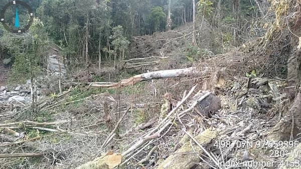 Hutan Resapan di Bener Meriah Dirambah Pascabanjir Bandang, Ancam Kelestarian Lingkungan