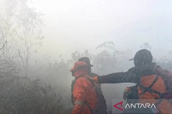 Kebakaran Lahan di Aceh Barat Meluas, BPBD dan Warga Bersatu Padamkan Api