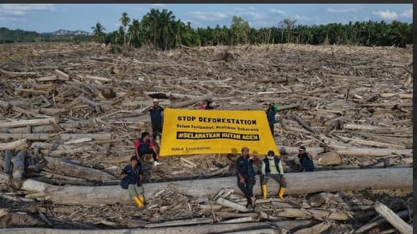 Banjir Aceh Berulang: Deforestasi Ancam Masa Depan Warga dan Ekosistem