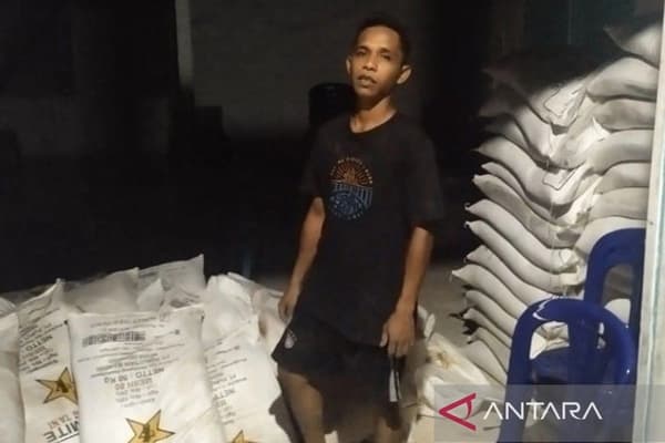 Pemkab Simeulue Alokasikan 3.000 Ton Pupuk Subsidi untuk Petani pada 2026