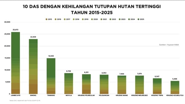 DAS Jambo Aye dan Singkil Alami Kehilangan Hutan Terbesar di Aceh