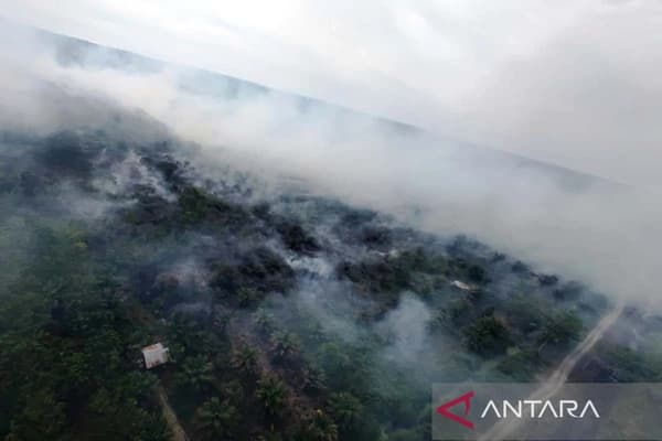 Kebakaran Lahan di Aceh Barat Ganggu Pernapasan Warga dan Rusak Vegetasi