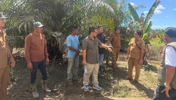 Pansus DPRK Aceh Selatan Cek PKS di Trumon Timur, Soroti Izin dan Lingkungan
