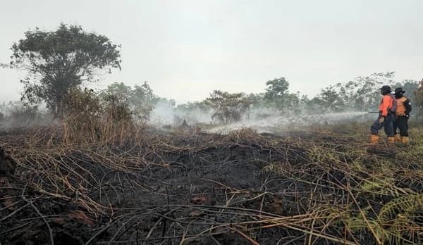 Karhutla di Aceh Barat Terjang 1,5 Hektare, Warga Lapang Terancam Asap