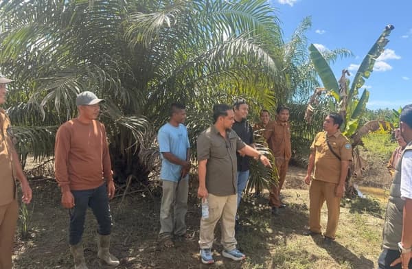 Pansus DPRK Aceh Selatan Tinjau Dampak Lingkungan PKS di Trumon Timur