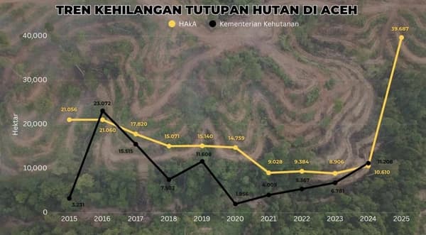 39.687 Hektare Hutan Aceh Hilang Tahun 2025, Rekor Tertinggi Dalam Satu Dekade