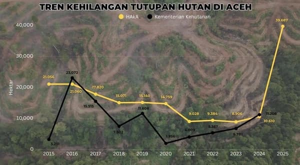 Aceh Kehilangan 39.687 Hektare Hutan pada 2025, Risiko Bencana Meningkat