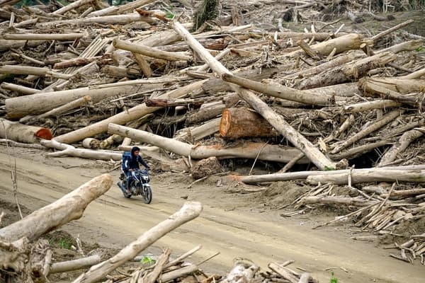 Menhut Izinkan Kayu Banjir Aceh untuk Rehabilitasi Pascabencana