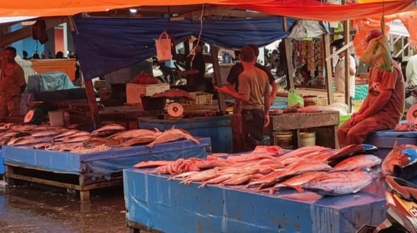 Harga Ikan di Aceh Barat Melonjak Hampir Dua Kali Lipat, Stok Minim