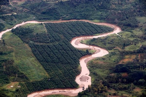 1.100 Hektare Hutan Rusak di Hulu Jambo Aye Picu Banjir Berulang di Aceh Timur