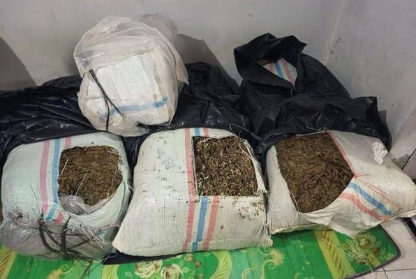 Petani Aceh Tengah Ditangkap dengan 50 Kg Ganja di Bireuen, Kurir Lari ke Aceh Utara