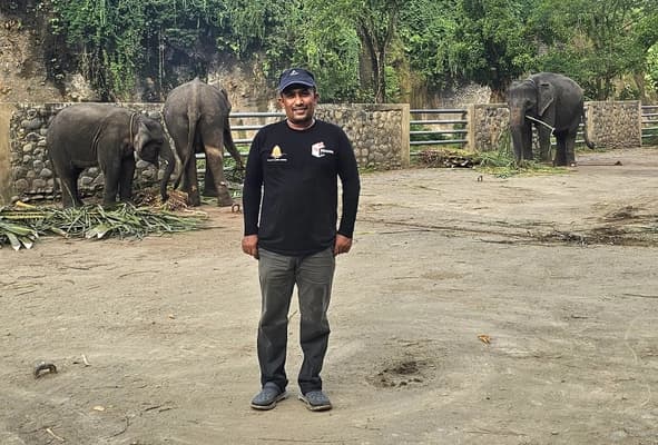 Konflik Satwa Liar di Aceh: Warga Desak Pergub Turunan Qanun