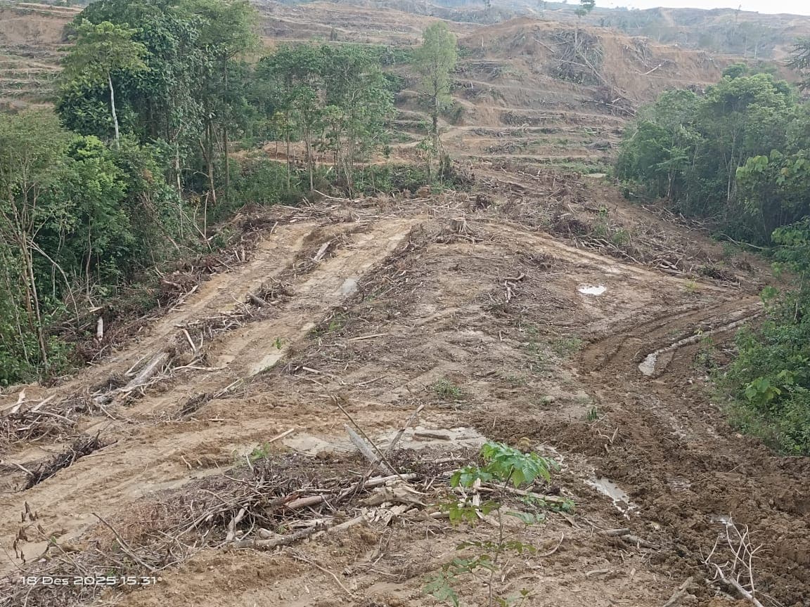 Warga Nagan Raya Desak Penyelesaian Sengketa Lahan dengan PT KIM