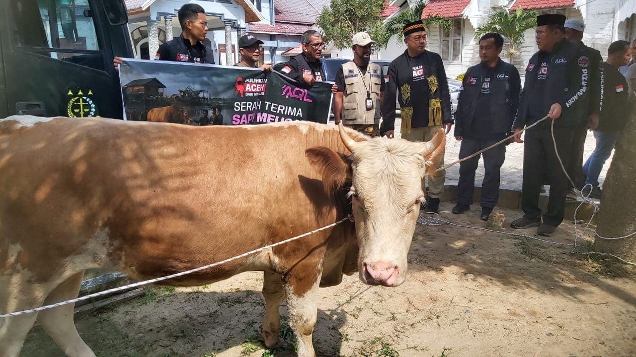 AQL Laznas Peduli Salurkan 7 Sapi Meugang untuk Warga Aceh Timur